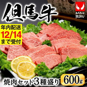 yӂ邳Ɣ[Łz󏭕ʓIɏAn ēZbg 3퐷y[X  󏭕1 v600gz ē Zbg Ă    An јa ~yAnr[t͂܂zy12/14