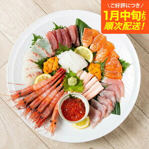 【ふるさと納税】城崎からお届け!手巻き寿司セット 約2人前 / 手巻き寿司 寿司ネタ 具 新鮮 手巻き寿司 ネタ セット ホームパーティー 旬の魚 鮮魚 お魚 海産物 魚 切り身 手巻き寿司ネタセ