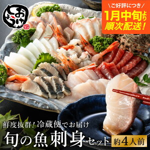 【ふるさと納税】新鮮なお魚を捌いた日に冷蔵で発送!お刺身セット 約4人前 / 刺身 盛り合わせ 新鮮 冷蔵 お刺身 セット 寿司ネタ お寿司 お魚 刺身盛り合わせ【城崎温泉 おけしょう鮮魚】