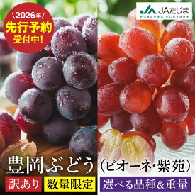 【ふるさと納税】【2026年先行予約】数量限定 訳あり 豊岡ぶどう ピオーネ・紫苑 選べる内容量 2・4・6・8パック / 1パック約300g ピオーネ 紫苑 ブドウ 葡萄 訳ありぶどう 大粒 強い甘み 爽やかな酸味 新鮮 果物 産地直送 くだもの フルーツ
