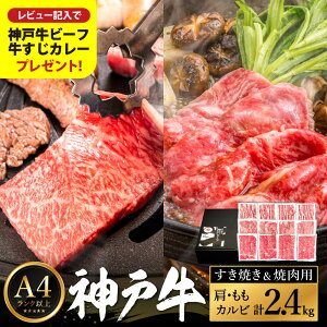 yӂ邳Ɣ[Łz_ˋ Ăē 2.4kg / A4Nȏ Ăp ē  (200g×3×4pbN)  Ԑg ~ Ă XCX Ă [X XCX o 