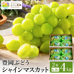 �y�ӂ邳�Ɣ[�Łz�V���C���}�X�J�b�g �嗱 �L���Ԃǂ� ��2kg�i3�`4�[��/���j�I�ׂ�1���E2�� / ���_�� �L���u�h�E ���x������ �Z�� �Ö� ��i�ȍ��� ���؂�̗ǂ� �炲�� �H�ׂ��� �V���C�� 