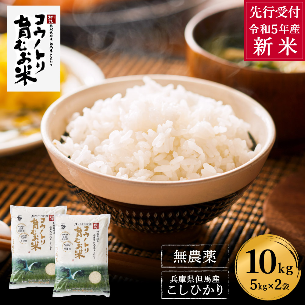 令和5年産新米 新潟県産コシヒカリ　10㎏　玄米(精米可)