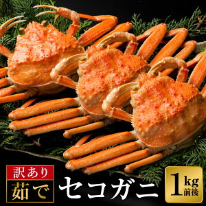 yӂ邳Ɣ[Łz䥂łAɗⓀIXiOqEqj䥂ŃZRKj 1kgO 6`8t / ZRKj Kj 䥂 Jj {C I t tI tKj 󂠂 Jj 