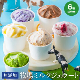 【ふるさと納税】牛飼いのジェラートセット 6種詰め合わせ / 無添加 スイーツ ジェラート シャーベット アイスクリーム 卵 小麦粉不使用 手作り プレセント お土産 贈り物 ギフト お取り寄せ 【狩野牧場】