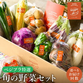 【ふるさと納税】大人気の夏野菜シーズン♪ 新鮮なお野菜を産地直送！ベジプラ特選 旬の野菜セット 選べる定期便1回・4回・12回 / 野菜 詰め合わせ セット 野菜セット やさい 苦みが少ない 甘い【夏野菜例：とうもろこし ピーマン ミニトマト キュウリ ナス 新じゃが etc】