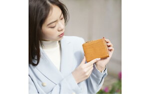 yӂ邳Ɣ[ŁzLz anti-mode style OLIVE Compact WalletiAW700j^ / z z K {v L[P[X@\t Y fB[X