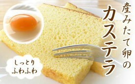 【ふるさと納税】産みたて卵たっぷり！カステラ 1本　産みたて卵 但熊 スイーツ 但熊弐番館