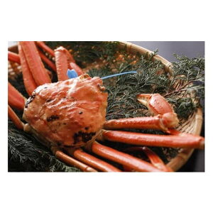 yӂ邳Ɣ[Łzys\zykinosaki spa&gardens@ygpz^OIׂ鏼tKj@䥂 or E700g or 800g or 900g or 1kg / /YCKj Jj {C I 䥂 t tI tKj ^O 