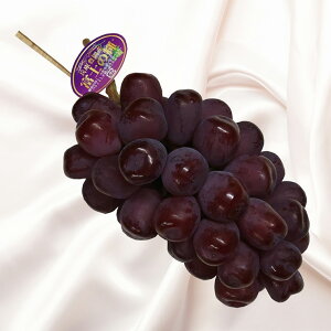 yӂ邳Ɣ[ŁzLԂǂ xm̋P 600g / LuhE Yn Z Ö RN 炲 Hׂ _ Ԃǂ uhE  ʕ  t[c ӂ_