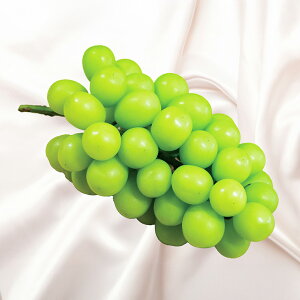 yӂ邳Ɣ[ŁzLԂǂ VC}XJbg 2kg Iׂ 1E2 / LuhE Yn x Z Ö iȍ ؂̗ǂ 炲 Hׂ _ VC }X