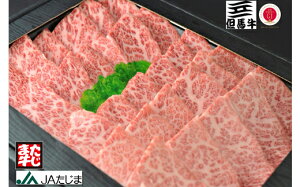 yӂ邳Ɣ[ŁzAn ēp ~蕔 500g /  ē ~ Ԑg An јa a Y Ă   ₫ɂ yJA ̓X{Xz