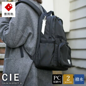 【ふるさと納税】豊岡鞄 CIE WEATHER DAYPACK（071953）ブラック / 木和田正昭商店 A4ファイル対応 ノートPC収納 通勤 メンズ レディース リュック バックパック リュックサック