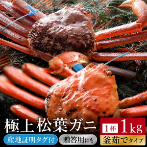 yӂ邳Ɣ[Łzys\zykinosaki spa&gardens ygpz^Ot tKj Iׂ銘䥂or 700g/800g/900g/1kg / YCKj Jj {C I 䥂   t tI tKj ^O t 