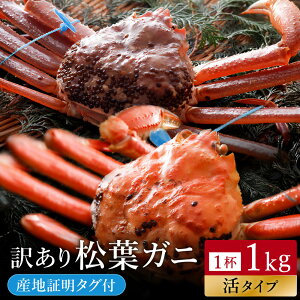 yӂ邳Ɣ[Łzy󂠂z^Ot tKj Iׂ銘䥂or 700g/800g/900g/1kg / A YCKj Jj {C I 䥂   t tI tKj ^O t I 