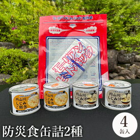 【ふるさと納税】いざという時命を救う 城崎産しじみ缶詰め 防災食 加熱袋セット 4缶(2種) 9缶(3種) 15缶(3種) / しじみご飯缶 しじみ汁缶 しじみお粥缶 加熱袋 ヒートパック 少量の水で加熱 アレルギー対応 非常食 セット 防災食セット 缶詰 ごはん ご飯 保存食 備蓄用