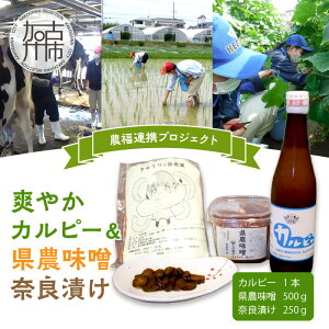 �y�ӂ邳�Ɣ[�Łz�u�_(�w)���A�g�v���W�F�N�g�v�u�₩�@�J���s�[�����_���X�E�ޗǒЂ�