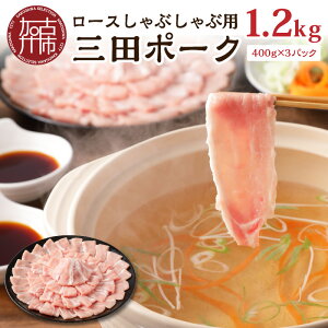 yӂ邳Ɣ[Łzyr[Ly[zIׂ锭Oc|[N [XԂԗp 1.2kg(400g×3pbNjs ؓ ӂ邳Ɣ[ Zbg [XԂ  ؂ 