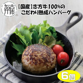 【ふるさと納税】【国産】志方牛100%のこだわり熟成ハンバーグ150g×6個《 ハンバーグ 国産 牛肉 100% 牛 こだわり セット 冷凍 肉 惣菜 お取り寄せ グルメ おかず ギフト 送料無料 》