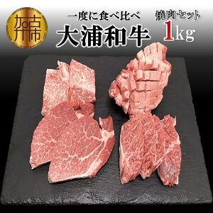 yӂ邳Ɣ[Łzyr[Ly[zIׂ锭YaēZbg(1kg)s   Y ē Zbg  [X  ^ n~ w tB q q Hה