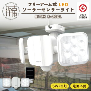 yӂ邳Ɣ[Łzyr[Ly[zRITEX S-220L 5W×2 t[A[LED\[[ZT[Cgs ZT[Cg \[[Cg Cg Ɩ h pi hƃCg t[A[