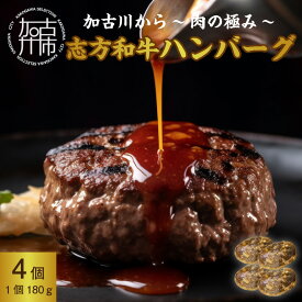 【ふるさと納税】加古川〜肉の極み〜志方和牛ハンバーグ 《 志方和牛 和牛 和牛ハンバーグ ハンバーグ 総菜 おかず 調理済 真空パック 肉 肉汁 ビーフ 牛肉 送料無料 食品 》