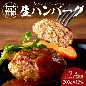 【ふるさと納税】【食べ応えたっぷり！】 自家製生ハンバーグ200g×12個 《 惣菜 ハンバーグ 肉 小分け 簡単調理 冷凍 焼くだけ 人気 送料無料 加古川市 グルメ 自家製 牛ミンチ おすすめ プレゼント お取り寄せ 選べる 》