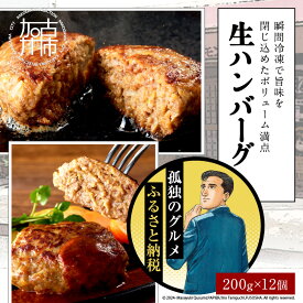 【ふるさと納税】【食べ応えたっぷり！】 自家製生ハンバーグ200g×12個 《 惣菜 ハンバーグ 肉 小分け 簡単調理 冷凍 焼くだけ 人気 送料無料 加古川市 グルメ 自家製 牛ミンチ おすすめ プレゼント お取り寄せ 選べる 》