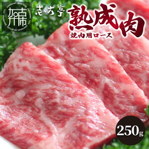 yӂ邳Ɣ[Łzyr[Ly[z unvē(250g)qē n [X  [X 250g  Y a   Zbg o[xL[ uh | Ðsr