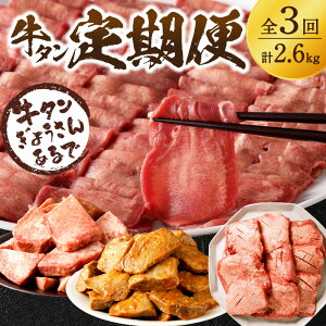 【ふるさと納税】【レビューキャンペーン】牛タン定期便【全3回】
