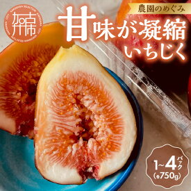 【ふるさと納税】＼選べる内容量／期間限定【農園のめぐみ】甘味が凝縮いちじく750g 1〜4パック