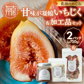 【ふるさと納税】期間限定【農園のめぐみ】甘味が凝縮いちじく750g×2・いちじく加工品セット《 数量限定 限定 果物 くだもの フルーツ いちじく 無花果 送料無料 》