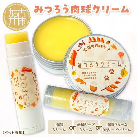 【ふるさと納税】【ペット専用】みつろう肉球クリーム リップクリーム bigリップクリーム 《 ペットグッズ 犬 ケア みつろう クリーム ホホバオイル 》