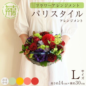 yӂ邳Ɣ[Łzyr[Ly[zyt[AWgzpX^CAWg(LTCY)y5FJoWJz