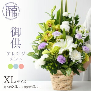 yӂ邳Ɣ[Łzyr[Ly[z䋟AWg(XLTCY)s   AWg m 䋟  t