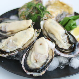 yӂ邳Ɣ[ŁzIׂeʁv~A ICX^[ kt y i8`10E12`15j ^  JL y  JL KL   L CY H Mtg ˓C 