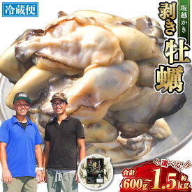 【ふるさと納税】＜選べる容量＞ 牡蠣 坂越かき 剥き牡蠣 約600g 約1kg 約1.5kg ／ かき カキ オイスター 生牡蠣 生カキ 生ガキ 生がき 剥き身 魚介 貝 海産物 生食 パック 瀬戸内海 坂越湾 兵庫県 赤穂市 冷蔵 送料無料 【2025年12月上旬-2026年4月下旬まで発送予定】