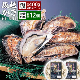 【ふるさと納税】 牡蠣 坂越かき 剥き牡蠣 約200g×2パック（計約400g） 殻付き牡蠣 12個 ／ かき カキ オイスター 生牡蠣 生カキ 生ガキ 生がき 殻付 剥き身 魚介 貝 海産物 生食 瀬戸内海 兵庫県 赤穂市 冷蔵 送料無料 【2025年11月下旬-2026年4月下旬まで発送予定】