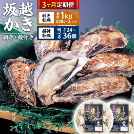 【ふるさと納税】【3回定期便】坂越かき 剥き身 約500g×2パック（計約1kg） 【選べる個数】 殻付き 24個・36個 ／ 牡蠣 かき カキ オイスター 生牡蠣 生カキ 生ガキ 生がき 殻付 魚介 貝 生食 瀬戸内海 兵庫県 赤穂市 冷蔵 送料無料【2026年2月上旬～4月下旬発送予定】
