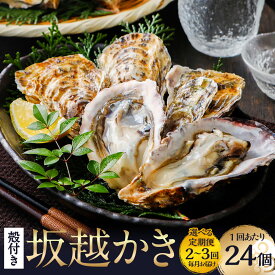 【ふるさと納税】【選べる定期便】牡蠣 坂越かき 殻付き牡蠣 24個 定期便 2回 / 3回 ／ かき カキ オイスター 生牡蠣 生カキ 生ガキ 生がき 殻付 魚介 貝 生食 瀬戸内海 兵庫県 赤穂市 冷蔵 送料無料 【2026年2月上旬～4月下旬発送予定】