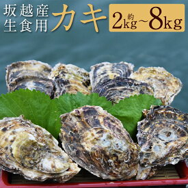 【ふるさと納税】＜選べる容量＞ 坂越産カキ 生食用 殻付 約2kg ・ 約5kg ・ 約8kg ／ 牡蠣 かき カキ オイスター 生牡蠣 生かき 生カキ 生ガキ 生がき 魚介 貝 海産物 生食 ギフト 坂越湾 兵庫県 赤穂市 冷蔵 送料無料 【2026年1月上旬-5月上旬発送予定】