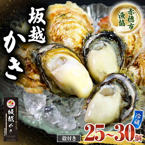 yӂ邳Ɣ[Łz y z kt (25`30)2.5kg yiCtt ~y  JL Lށ^y^ V[t[h @͂F2025N12{`2026N3{