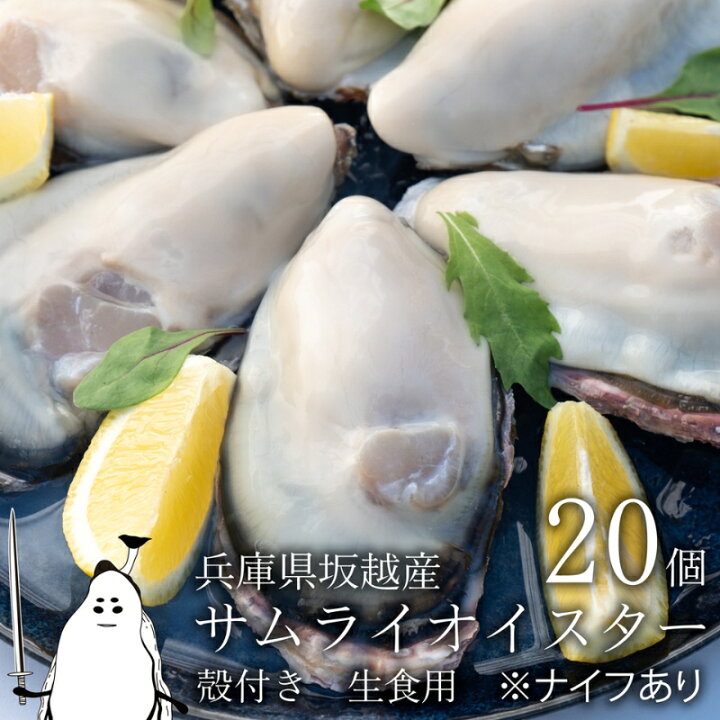 楽天市場 ふるさと納税 牡蠣 生食 坂越かき 殻付き28個 牡蠣ナイフ 軍手付き サムライオイスター 生牡蠣 冬牡蠣 魚貝類 水産加工品 貝類 シーフード お届け 23年2月上旬以降順次発送予定 兵庫県赤穂市
