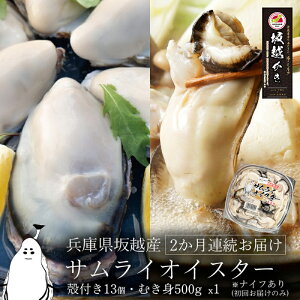 yӂ邳Ɣ[Łzy  H z ނg 500g×1A kt 13(yiCtERt)2A͂ y ~y L @͂F2026N1{`2026N3{