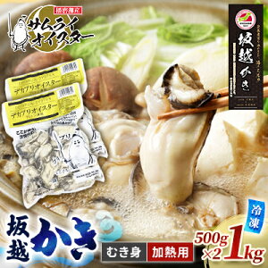yӂ邳Ɣ[Łzz yⓀzނgfJvICX^[500g×2(Mp)[ y ~y ]  JL HHi
