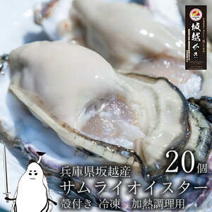 yӂ邳Ɣ[Łzy z yⓀz kt 20(Mp)TCICX^[ ~y  JL HHi
