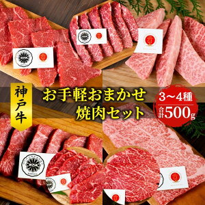 yӂ邳Ɣ[Łz_ˋ y܂ ēZbg 500g     a јa ē Ă Zbg Lv BBQ AEghA y ԕs z ē @͂F̏i͂