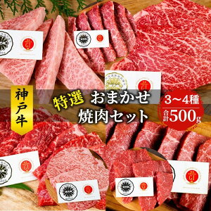 yӂ邳Ɣ[Łz_ˋ I ܂ ēZbg 500g     a јa ē Ă Zbg Lv BBQ AEghAy ԕs z ē @͂F̏i͂͂