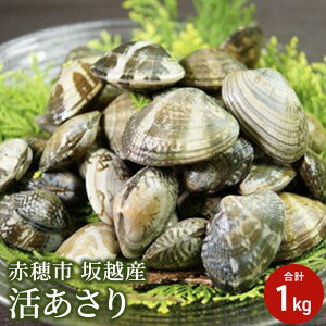 yӂ邳Ɣ[Łzy2026N3{o׊JnzɌ ԕs zY  1kg AT  @͂F2026N3{`2026N5{