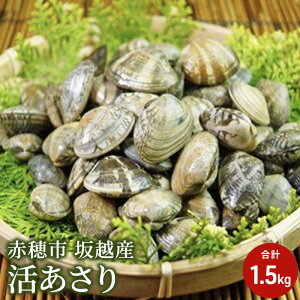 yӂ邳Ɣ[Łzy2026N3{o׊JnzɌ ԕs zY  1.5kg AT  @͂F2026N3{`2026N5{